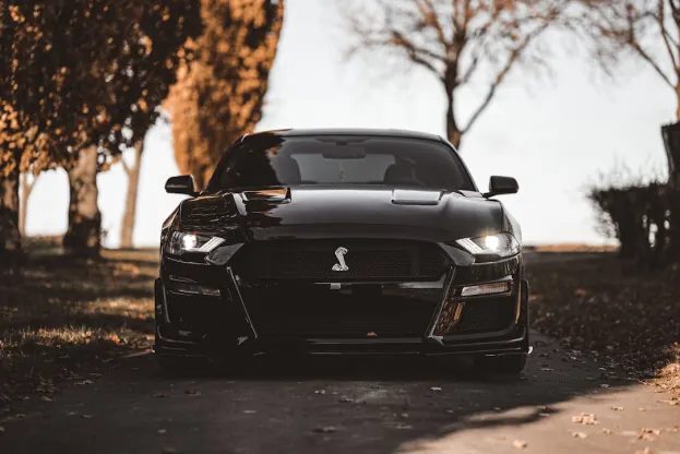 리퍼 카지노 안드로이드/iOS 앱